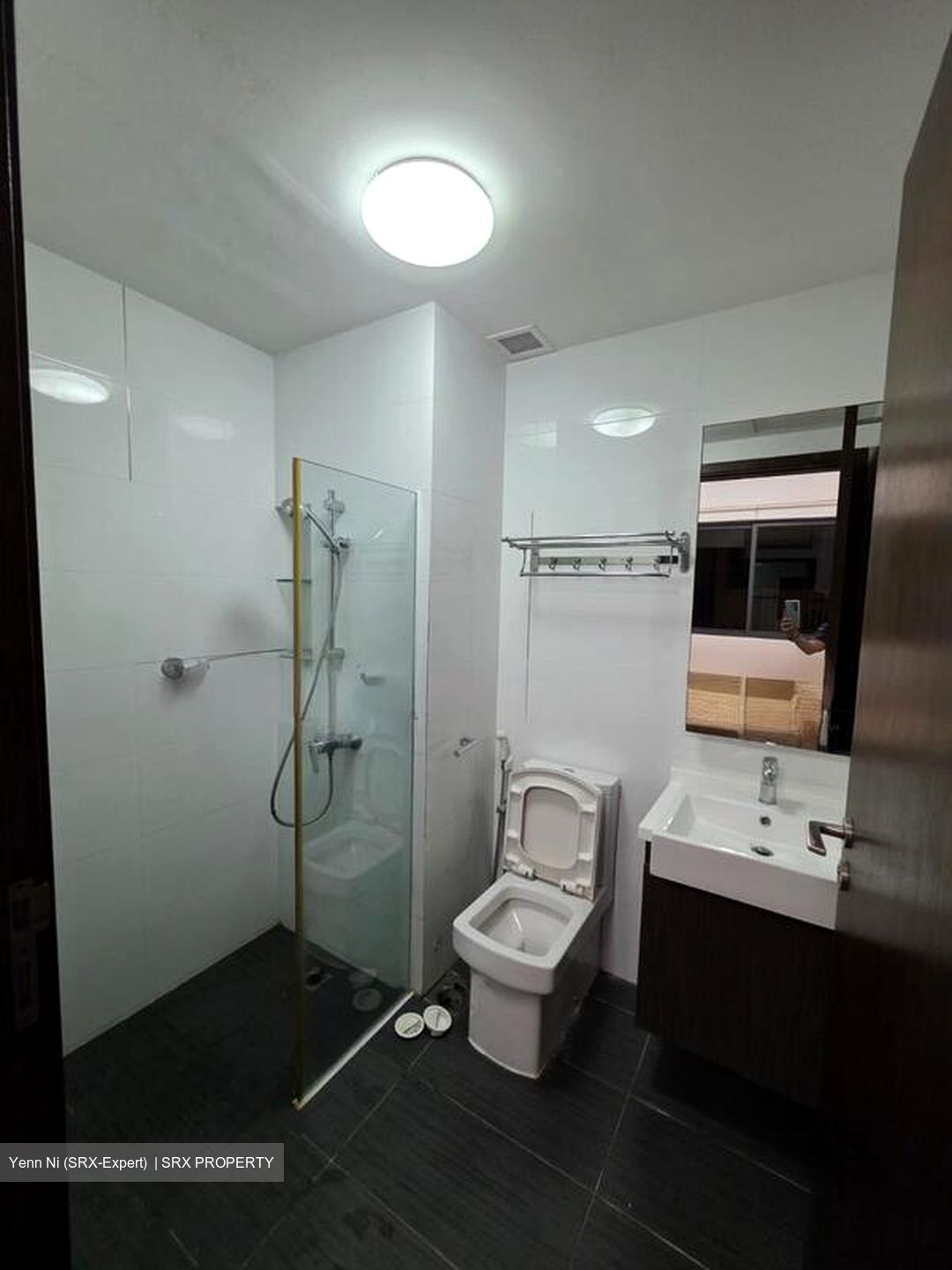 Silverscape (D14), Apartment #499753371
